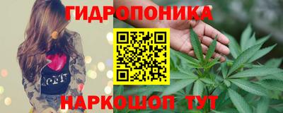 бошки Кинель