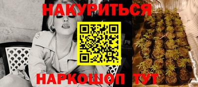 PSILOCYBIN Кингисепп