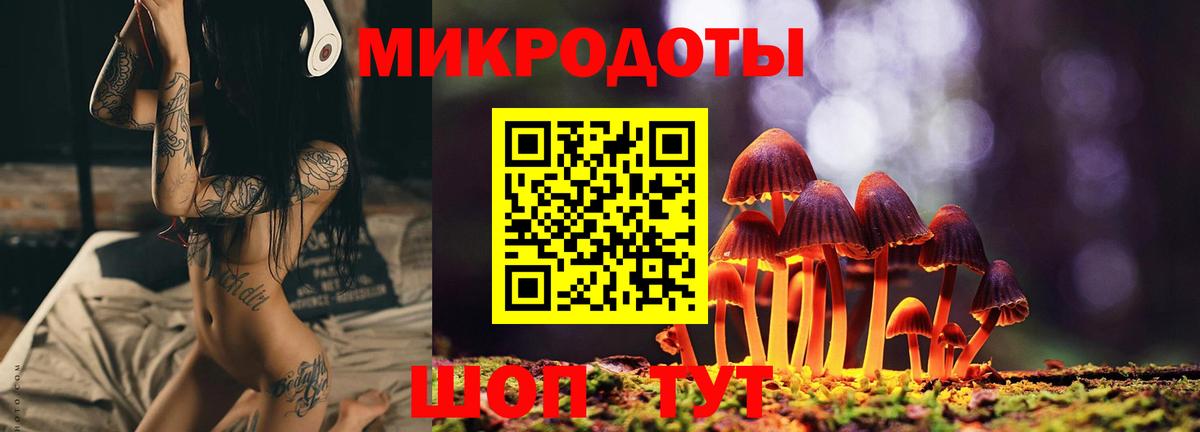 Дзержинск  наркотики  Псилоцибиновые грибы Cubensis  Вход с VPN  Псилоцибиновые грибы Psilocybe 
